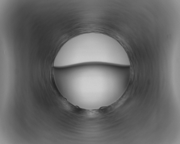 X0000113900333200909241208