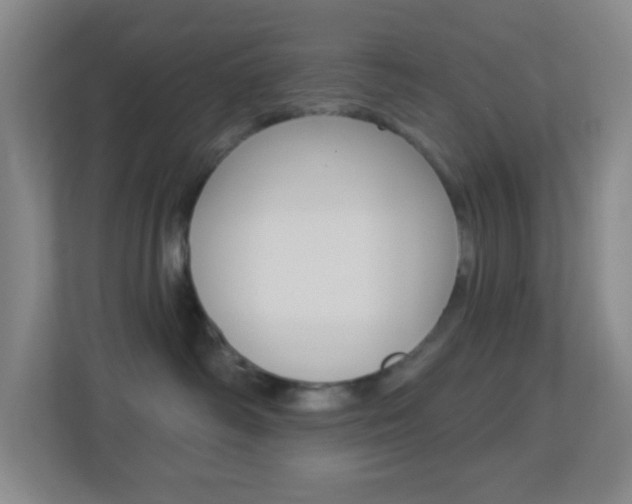 X0000113900334200909241208