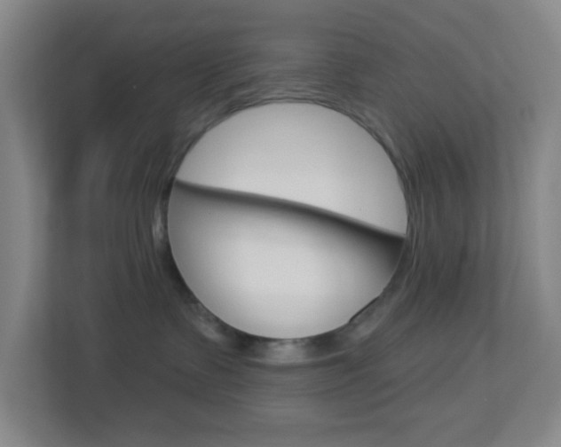 X0000113900335200909241208