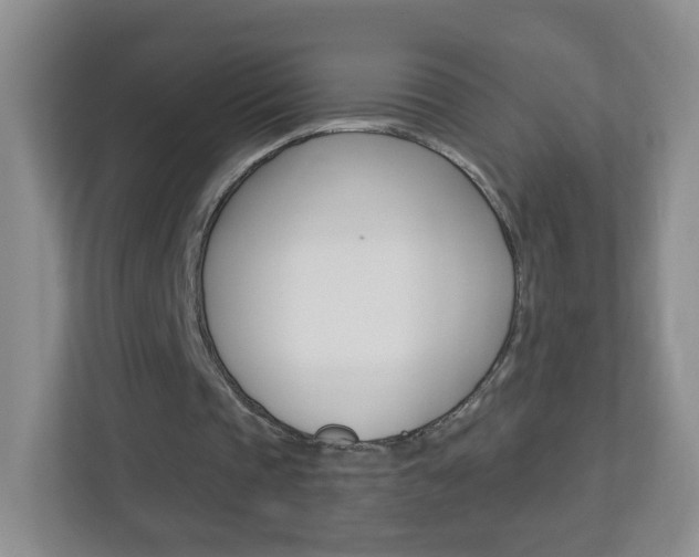 X0000113900337200909241207