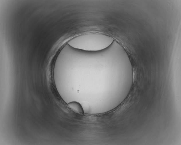 X0000113900339200909241207