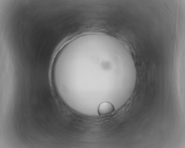 X0000113900340200909241207