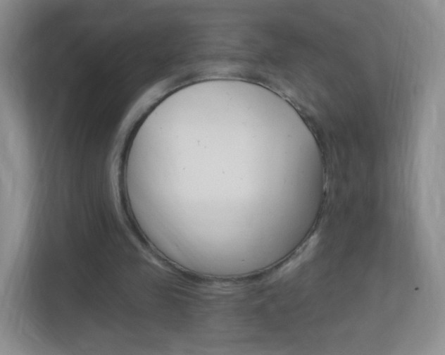 X0000113900341200909241207