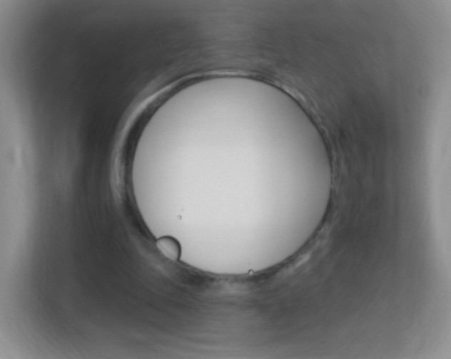 X0000113900343200909241207