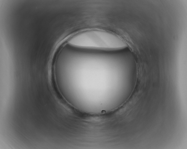 X0000113900344200909241207