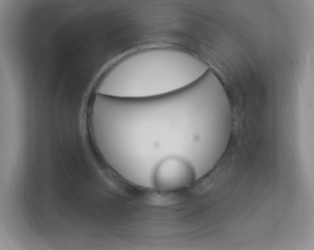 X0000113900346200909241207