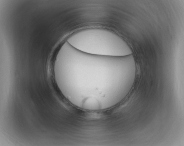X0000113900347200909241207