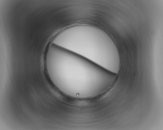 X0000113900349200909241207