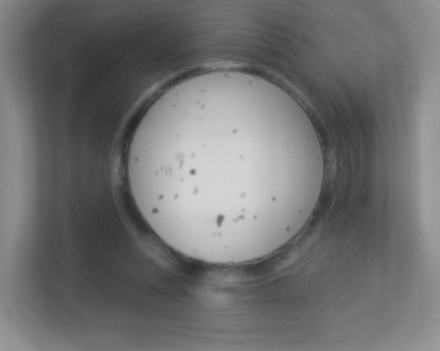 X0000113900351200909241207