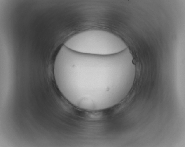 X0000113900359200909241208