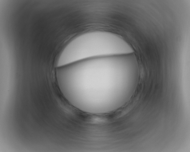 X0000113900360200909241208