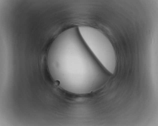 X0000113900364200909241208