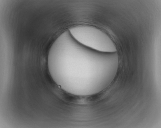 X0000113900365200909241208