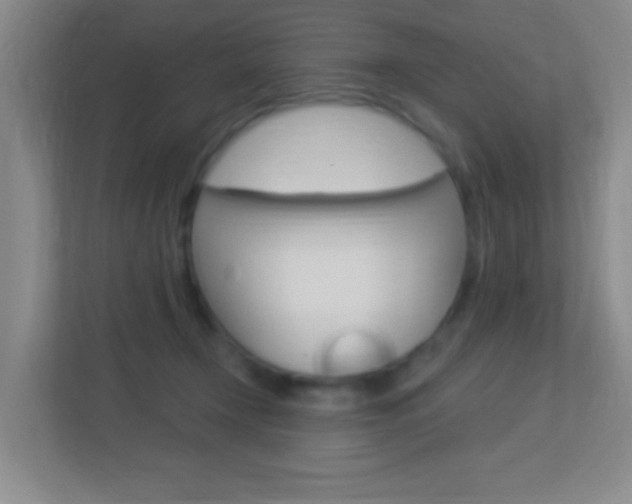 X0000113900366200909241208