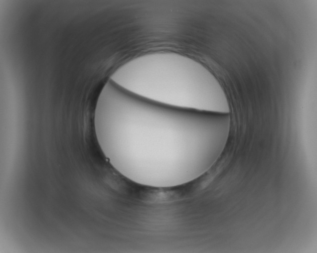 X0000113900379200909241208