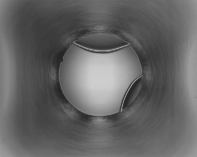 X0000113900380200909241208