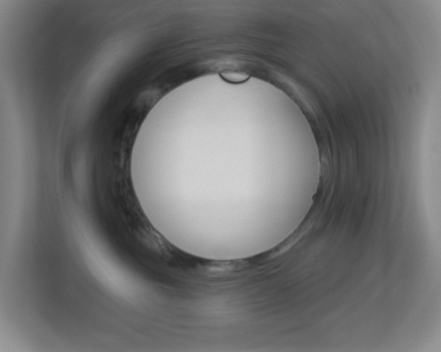 X0000113900381200909241208