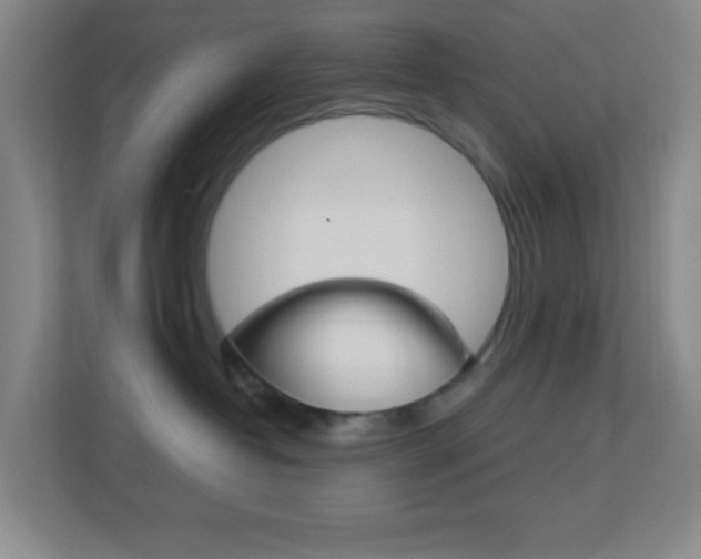 X0000113900382200909241208