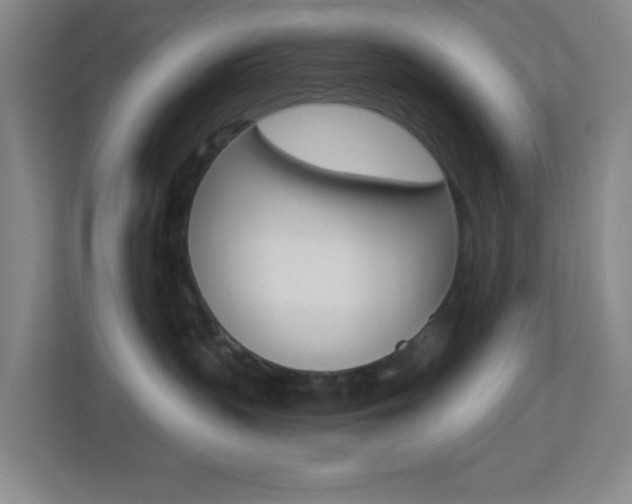 X0000113900383200909241208