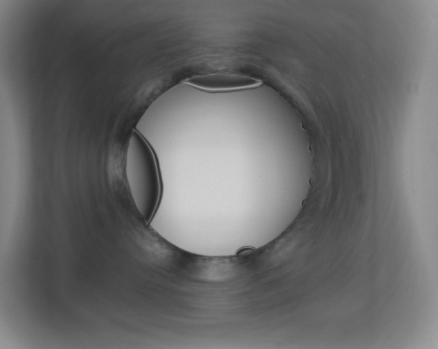 X0000113900384200909241208
