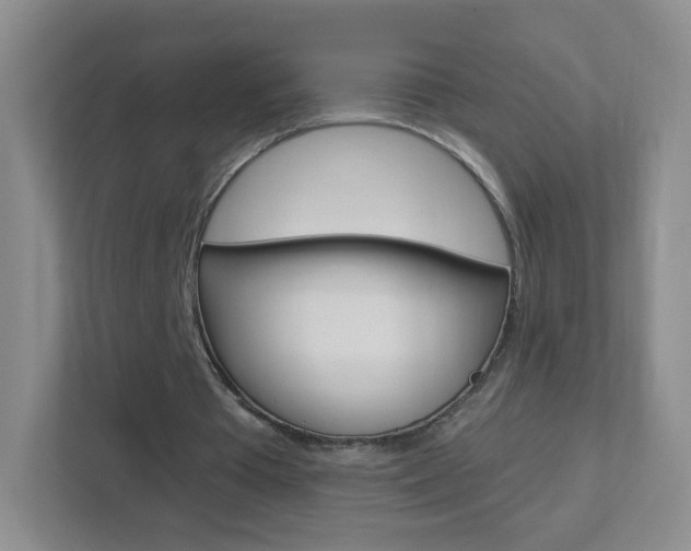 X0000113900385200909241207