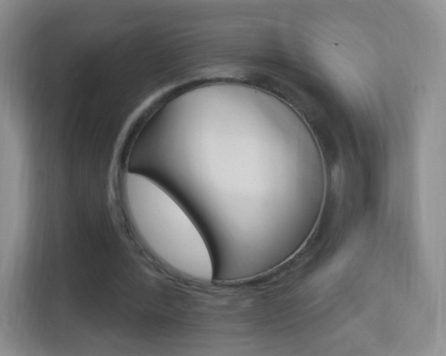 X0000113900388200909241207