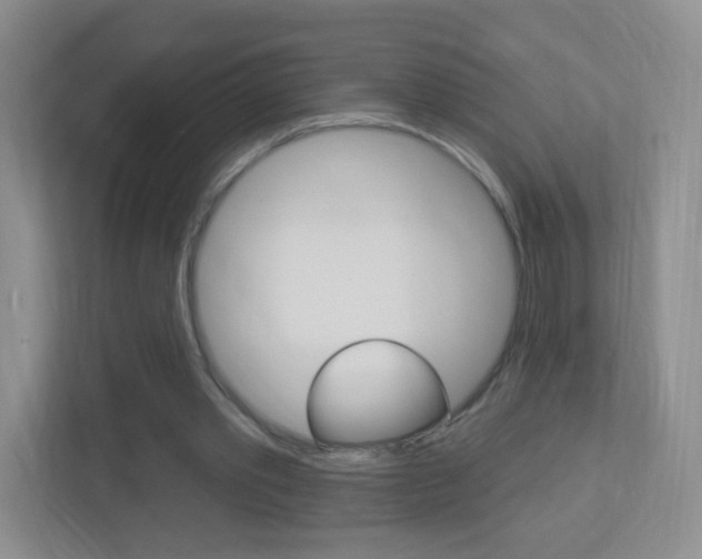 X0000113900389200909241207