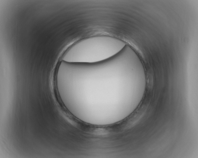 X0000113900390200909241207
