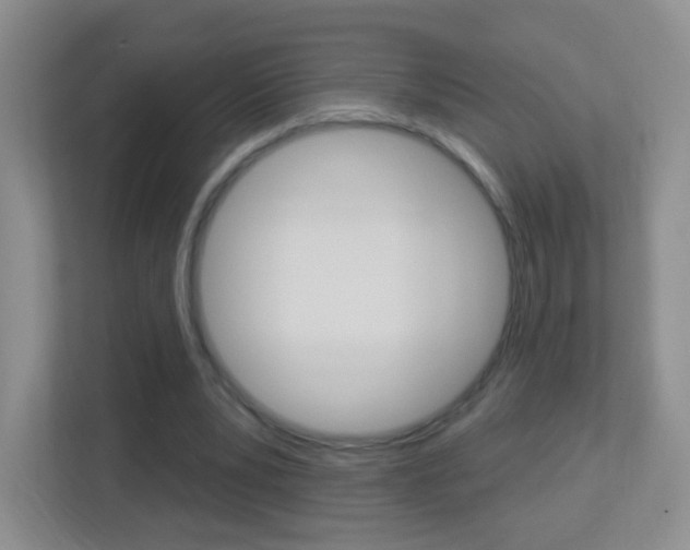 X0000113900391200909241207