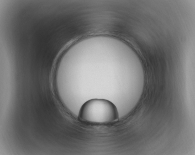 X0000113900395200909241207