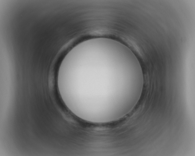 X0000113900400200909241207