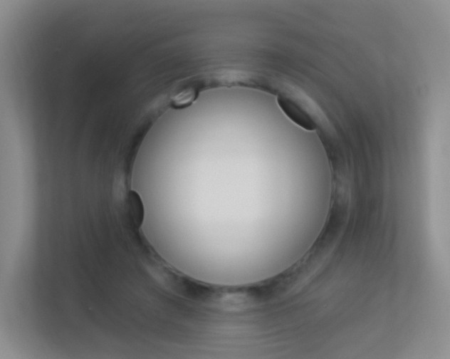 X0000113900401200909241207