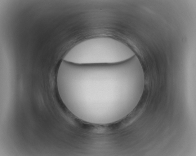 X0000113900402200909241207