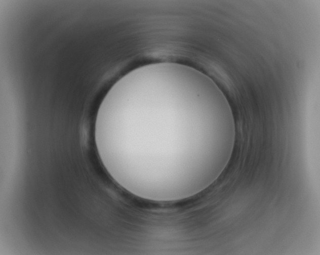 X0000113900404200909241207