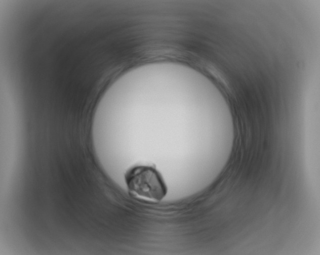 X0000113900407200909241207
