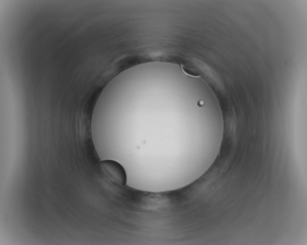 X0000113900421200909241207