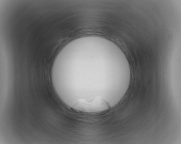 X0000113900423200909241207