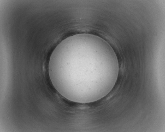 X0000113900424200909241207