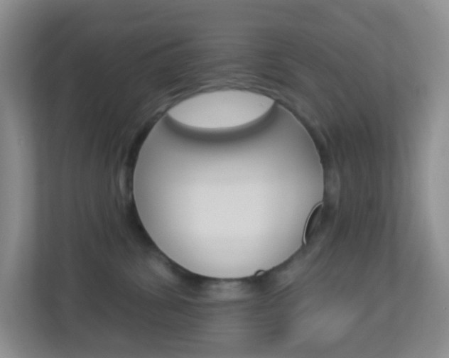 X0000113900428200909241206
