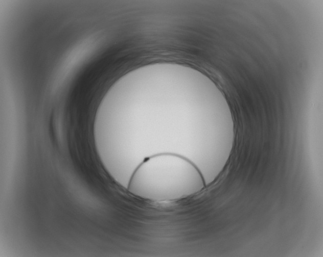 X0000113900429200909241206