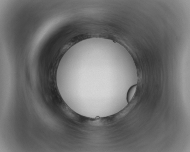 X0000113900430200909241206