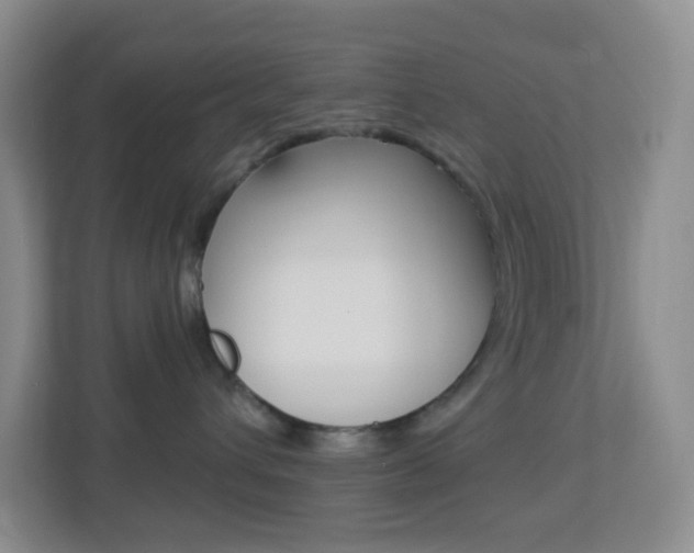 X0000113900432200909241206