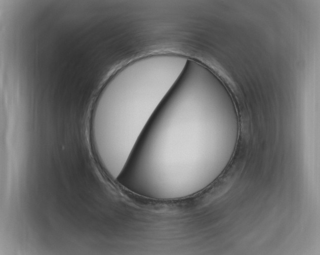 X0000113900434200909241206