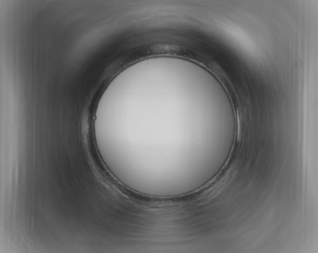 X0000113900435200909241206