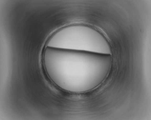 X0000113900439200909241206