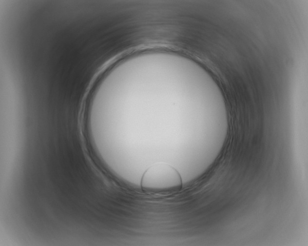 X0000113900440200909241206