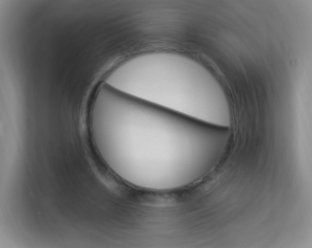 X0000113900443200909241206