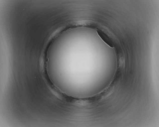 X0000113900444200909241206