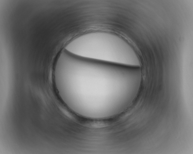 X0000113900445200909241206