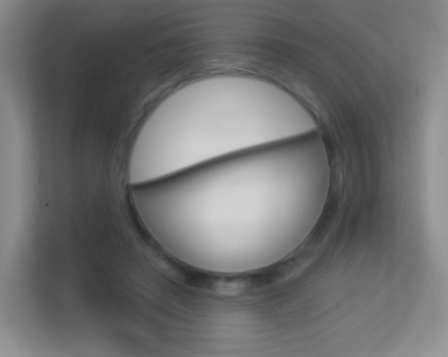 X0000113900450200909241206